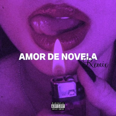 AMOR DE NOVELA (feat. Ribex) [REMIX] - Single