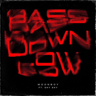 BASS DOWN LOW - Single