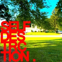 SELF-DESTRUCTION (feat. ilyakame) - Single - freemari