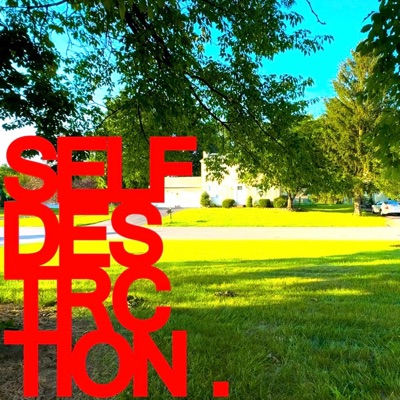SELF-DESTRUCTION (feat. ilyakame) - Single