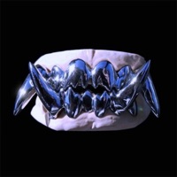 556 (feat. zer0xthrash) - Single - zer0