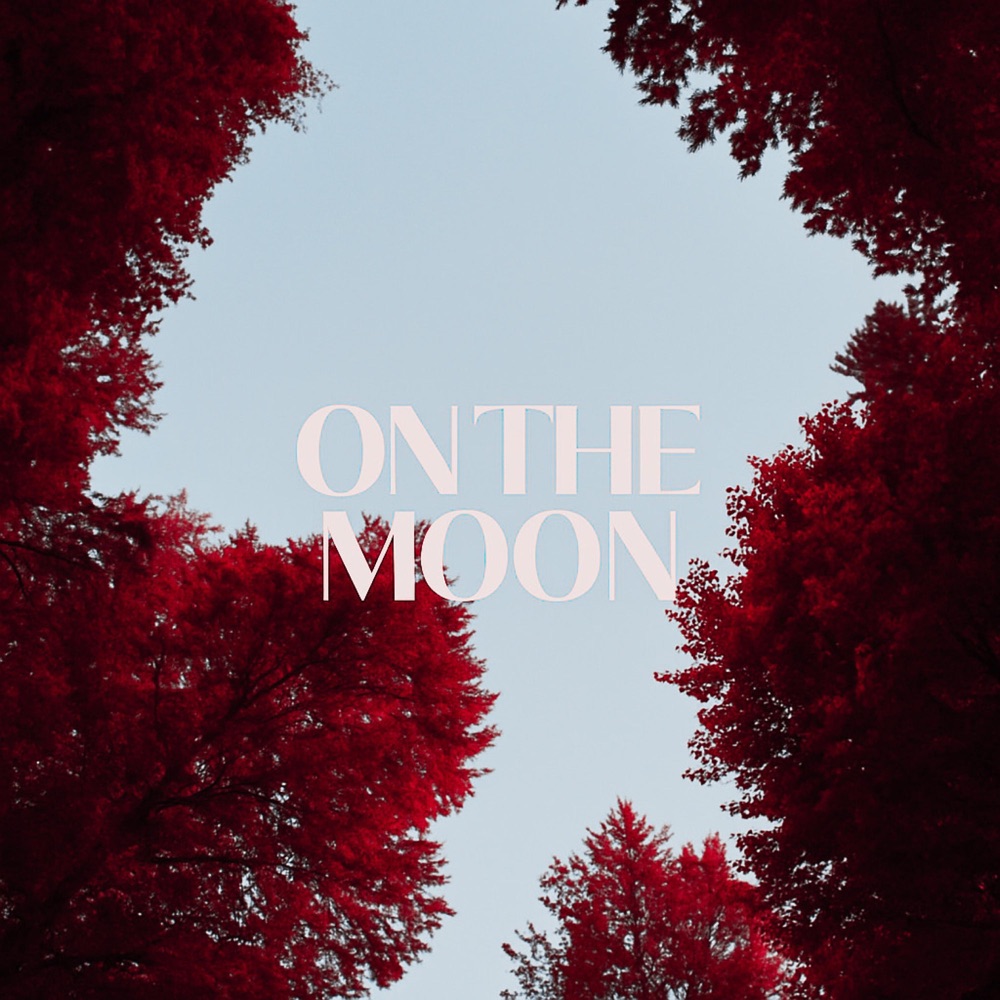Обложка альбома «On The Moon (feat. Denitia) - Single» — Kelly Mac