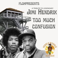 TOO MUCH CONFUSION (TRIBUTE TO JIMI HENDRIX) - Single - Flohpresents
