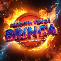 Arrocha Vem Cá Brinca - Single - Mc Nito
