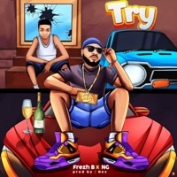 Try (feat. NG) - Single - Frezh B Rwm