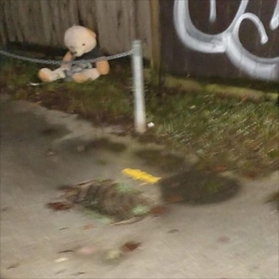 The Dark Thoughts of Robots