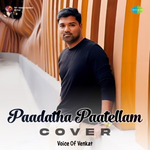 Paadatha Paatellam (Cover)