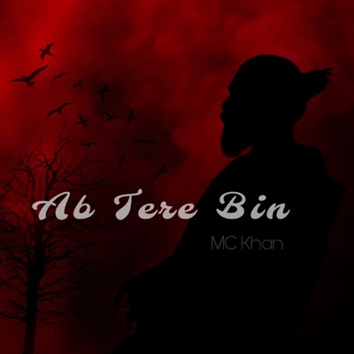 Ab Tere Bin - Single
