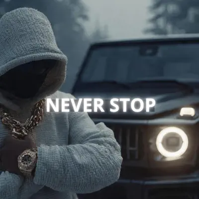 Ouça Never Stop - Single de Shadow Bass King.