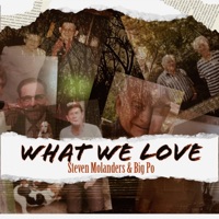 What We Love - Single - Steven Molanders & BIG PO