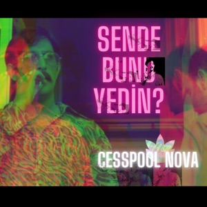 SEN DE BUNU YEDİN?