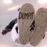 DUMPIT (From 0 to 100 Version) - Single - Felix Snow