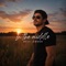 In the middle - Beau Landon lyrics