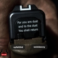 phone line (feat. Vxnjxlie) - Single - wolo polo