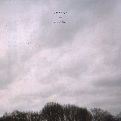 In Situ - EP