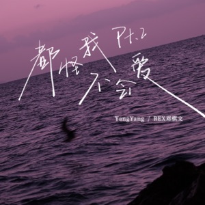 都怪我不会爱 (Pt.2) - Single
