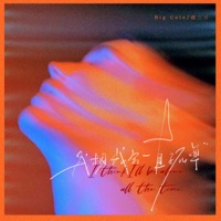 我想我会一直孤单 - Single - Big Cole & 任二三