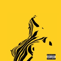 Flak - Single - Rapiam