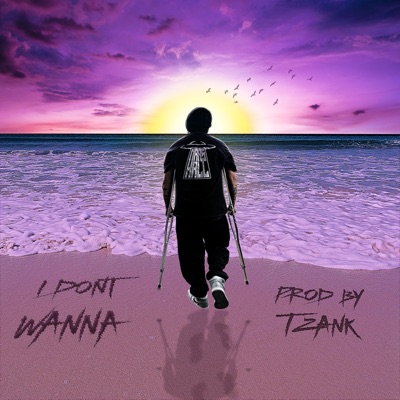 I Don't Wanna - Single