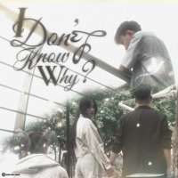 I Don't Know Why? - Single - mc.Ice & NK