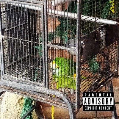 sin auriculares ni esperanza (nunca sin DOPE) - Single