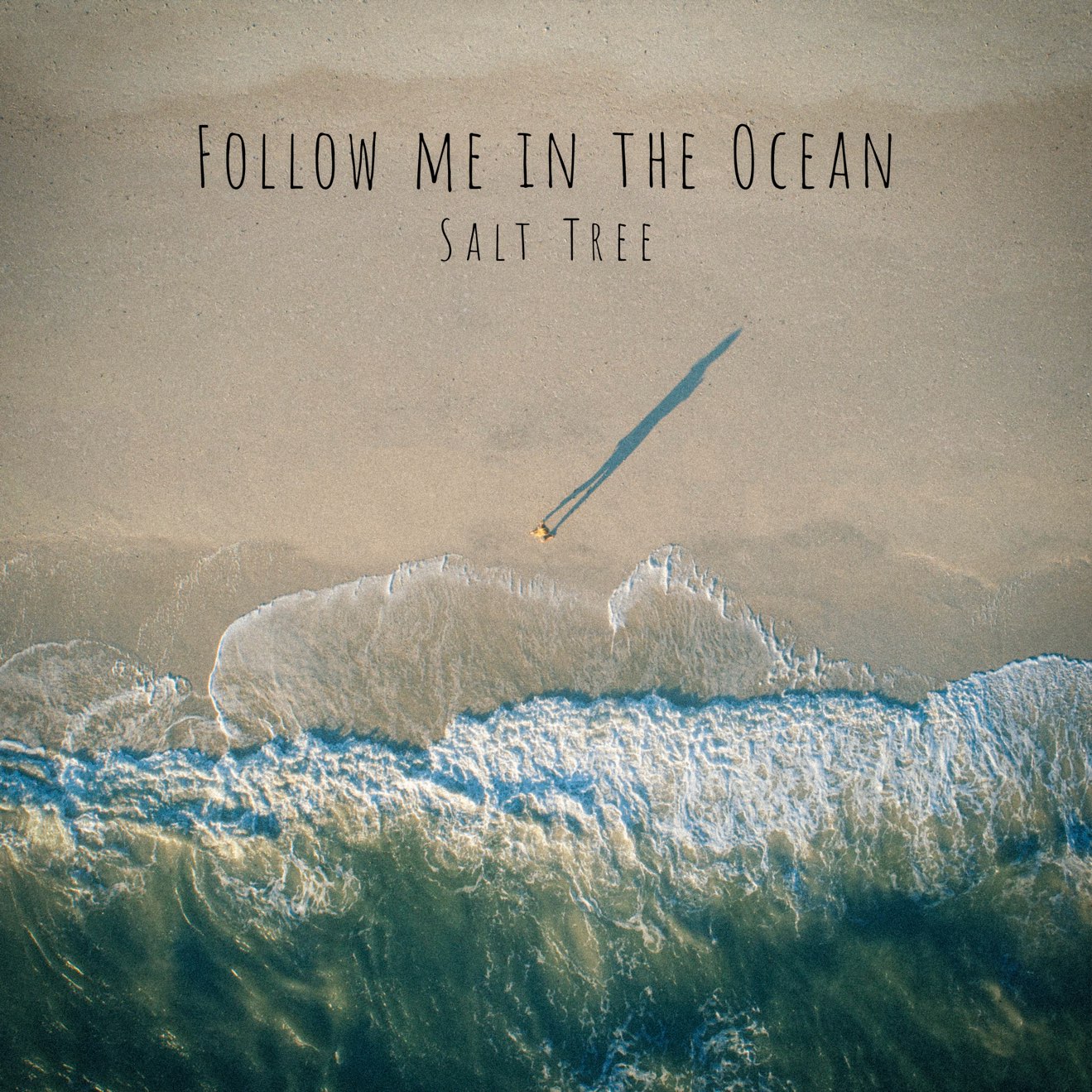 Salt Tree – Follow Me in the Ocean – Single (2024) [iTunes Match M4A]