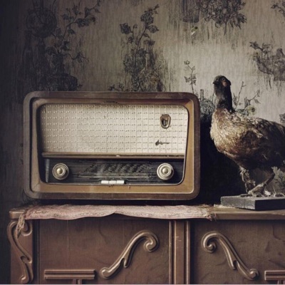 Serene Shelter - Rare Vintage Radio Song