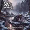 Frozen Tears Of Solitude