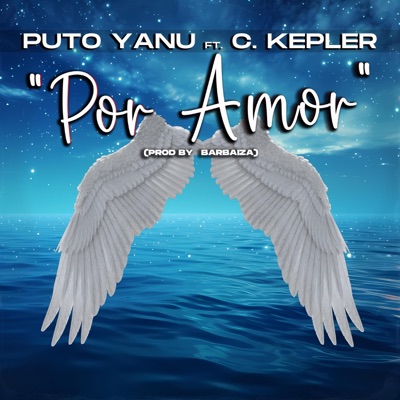 Por Amor (feat. C.Kepler & Barbaiza) - Single