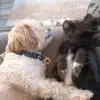 Dirty...
