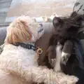 Dirty...
