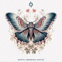 Katara - Single - Ranta, Miroshin & Matur