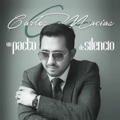 Un Pacto de Silencio artwork