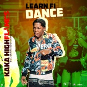 Learn Fi Dance artwork