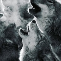 Rip Bagchaser - Single - 52Flippa & Aachen Demon