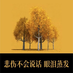 悲伤不会说话 眼泪蒸发 - Single