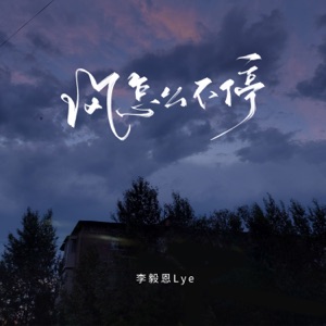 风怎么不停 - Single
