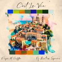 C'est La Vie - Mugga 220 & Rent 