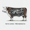 Seth James - Motormouth artwork