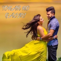 Tohar Ho Gaini - Single - Vivek Sharma