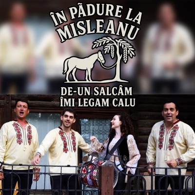 In padure la misleanu, de-un salcam imi legam calu - Single