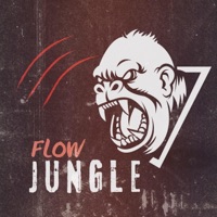 Flow Jungle - Single - Cris Luke