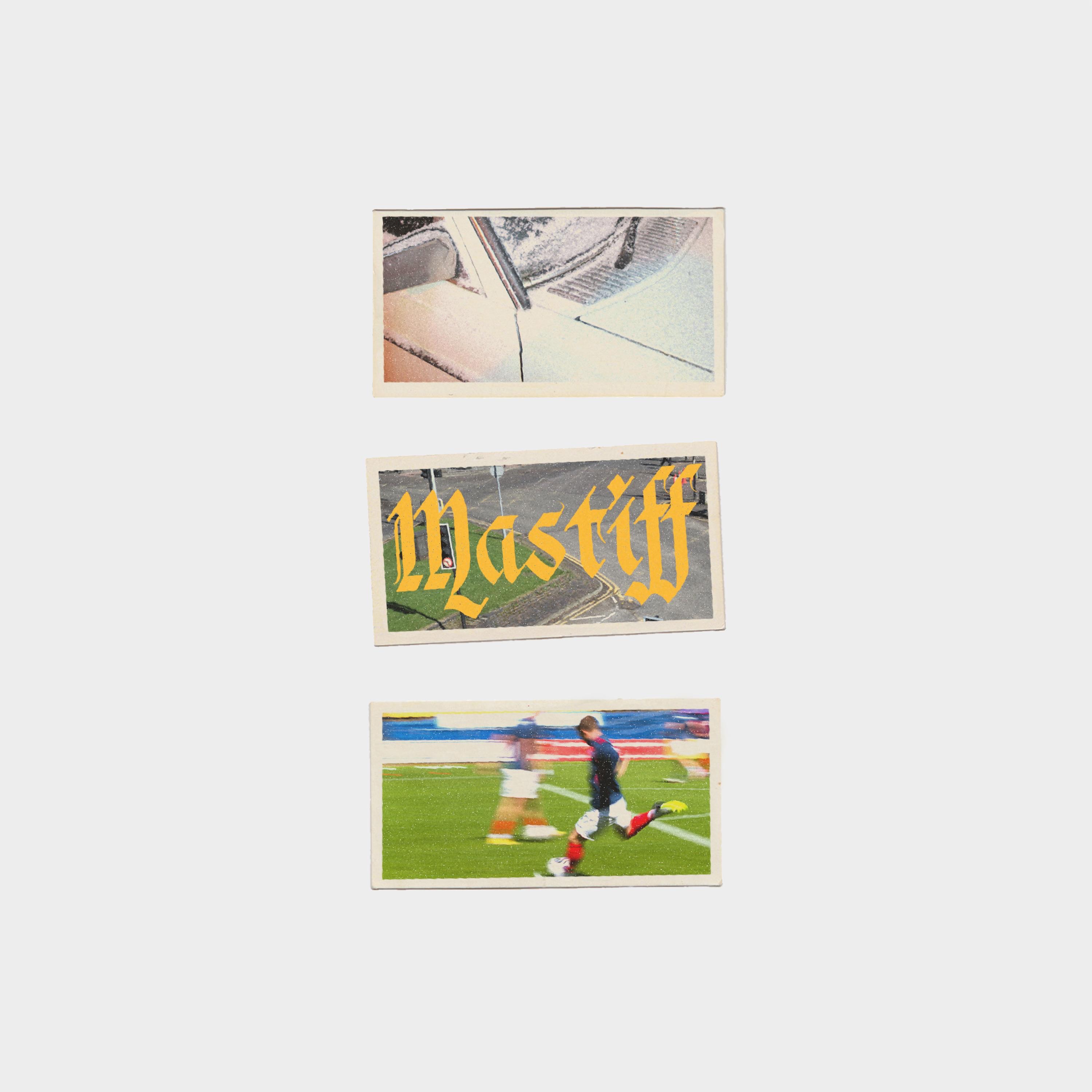 Mastiff - Single