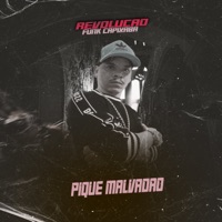 Pique Malvadao (feat. MC Tiaguinho & Dj Leozão) - Single - Revolução Funk Capixaba