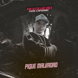 Pique Malvadao (feat. MC Tiaguinho & Dj Leozão) Revolução Funk Capixaba