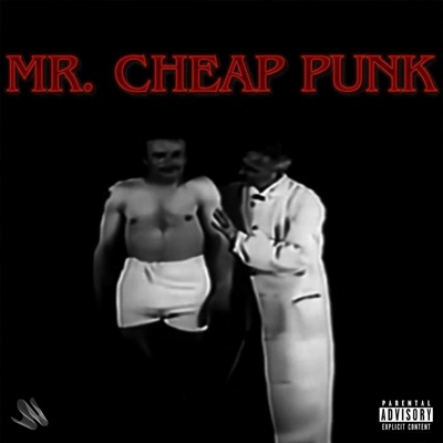 Mr. Cheap Punk - Single