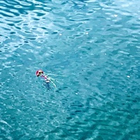 Perfect Witness - Single - Sage Wilson