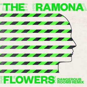 Dangerous (Room9 Remix) - Single