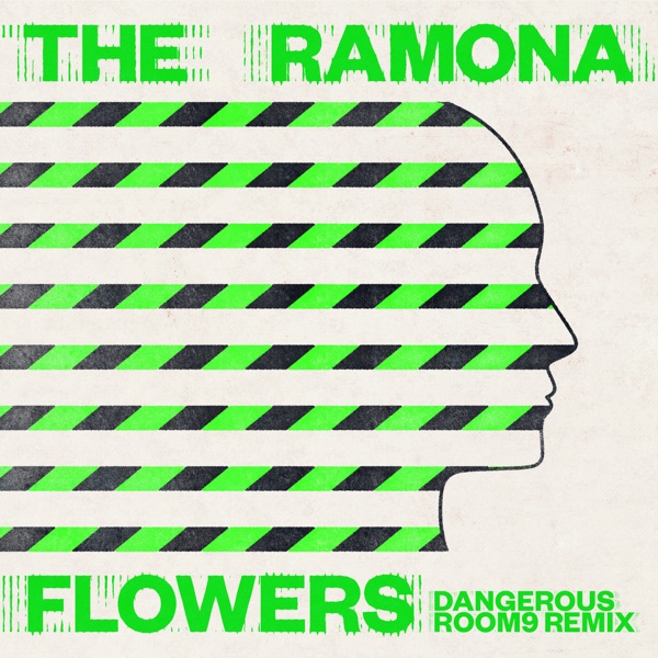 Dangerous (Room9 Remix) - Single