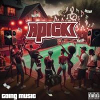 Apicki - Single - Long story going